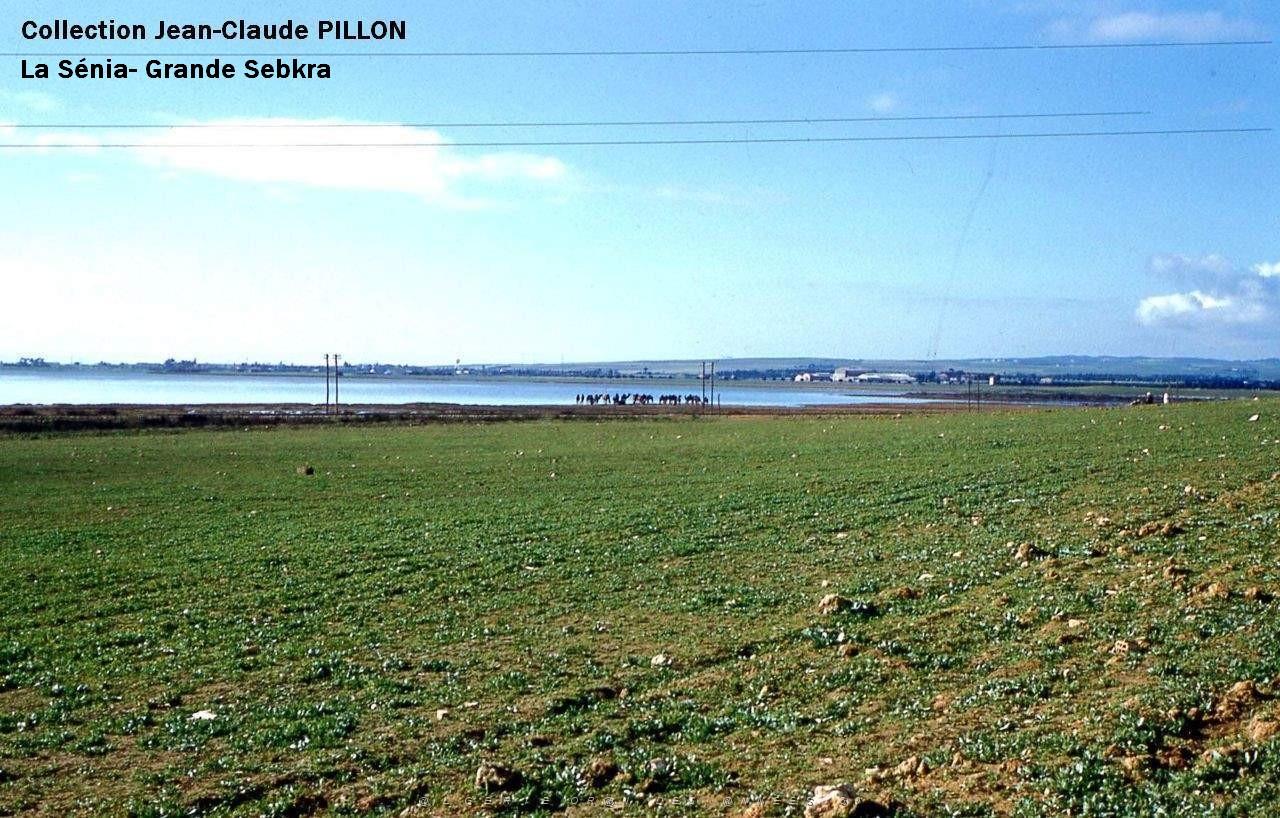 LA SENIA ENVIRONS.jpg